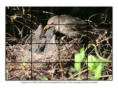 Puzzle-Amsel-3.pdf